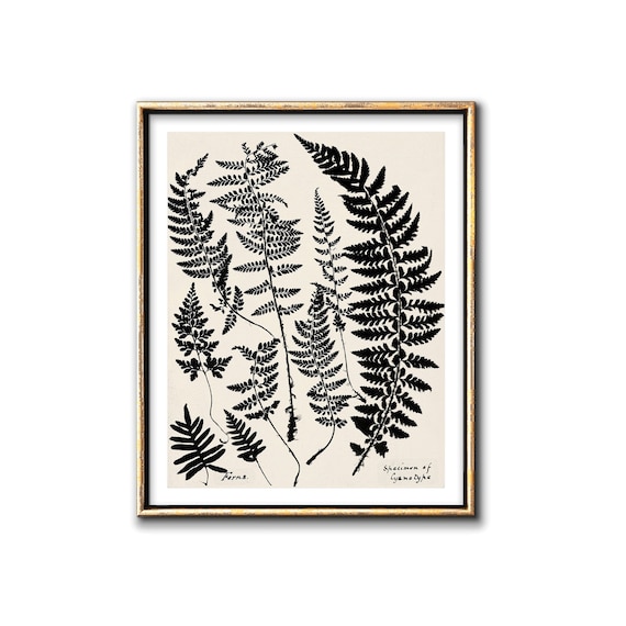 Digital Download Instant Printable Wall Art Fern Leaf Botanical Print