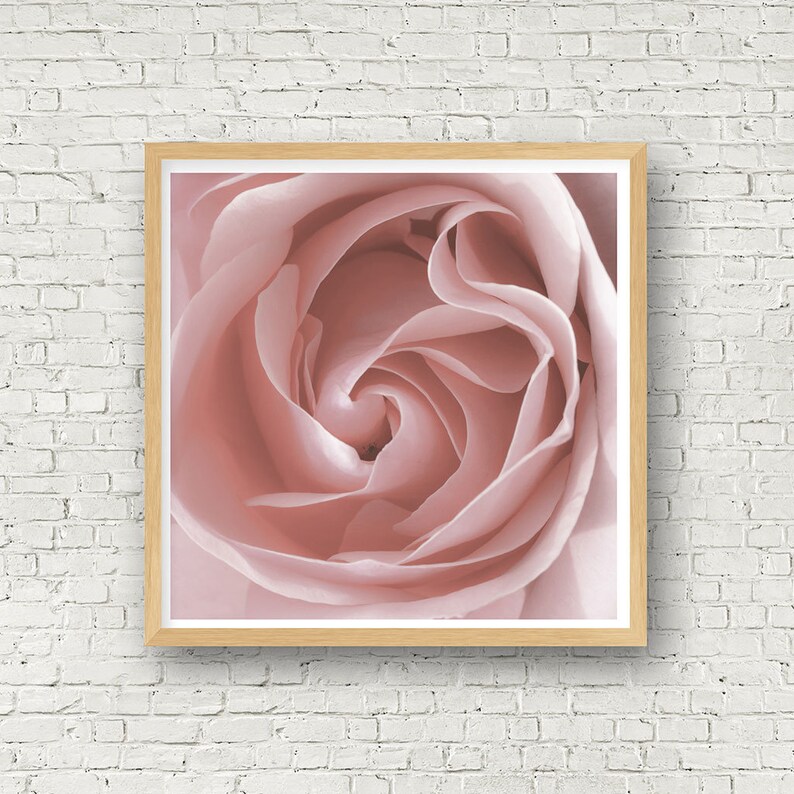 Pink Rose Wall Art Printable Wall Decor Modern Flower Wall Etsy
