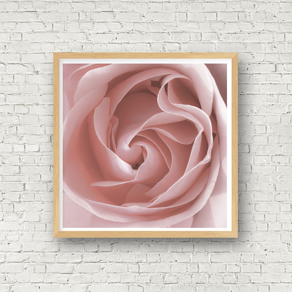 Pink Rose Wall Art Printable Wall Decor Modern Flower Wall Etsy