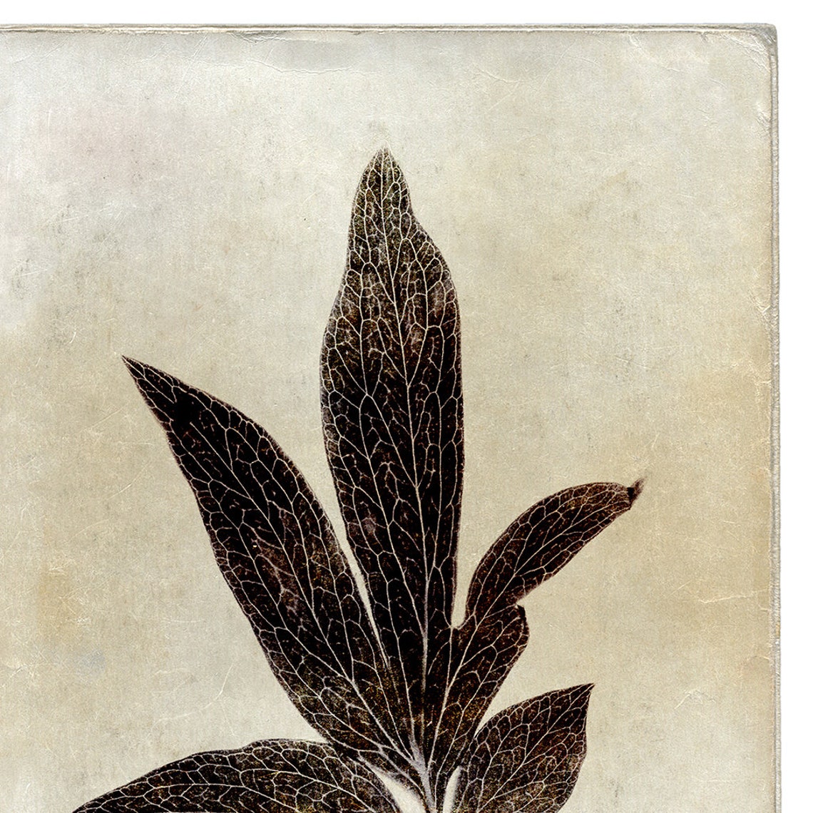 Botanical Leaf Print Printable Artwork Neutral Art Print | Etsy