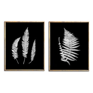 Black and White Botanical Print Set of 2 Piece Wall Art Digital Download, Botanical Fern Print Printable Art, Farmhouse Downloadable Prints