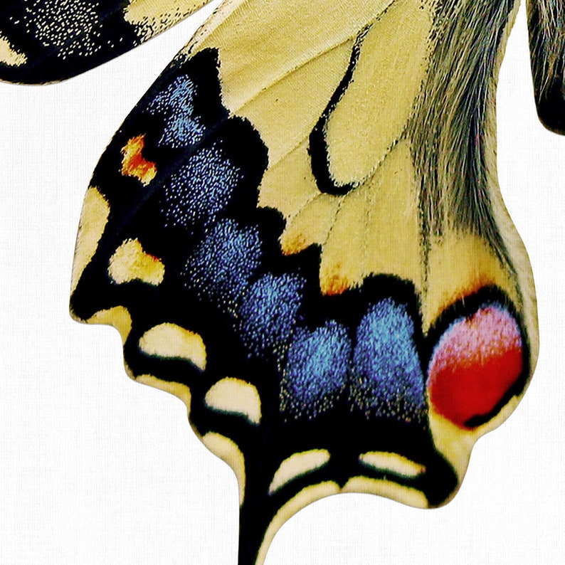 Yellow Butterfly Wall Art Set of 2 Prints Downloadable Art Etsy