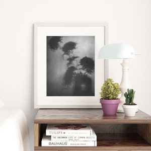 Dark Moody Floral Art Downloadable Prints, Abstract Photography Chrysanthemum Printable Wall Art, Shadow Picture Digital Download image 6