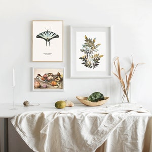 May include: Three framed prints on a white wall above a white table with a white tablecloth. The prints feature a butterfly, a leafy branch, and a still life of birds and fruit.