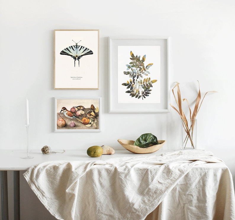 May include: Three framed prints on a white wall above a white table with a white tablecloth. The prints feature a butterfly, a leafy branch, and a still life of birds and fruit.