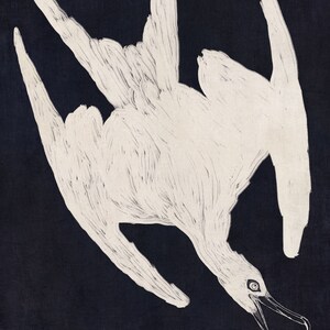 May include: A white bird with its wings spread out, lying upside down on a dark blue background. The bird's head is tilted back, and its beak is open.