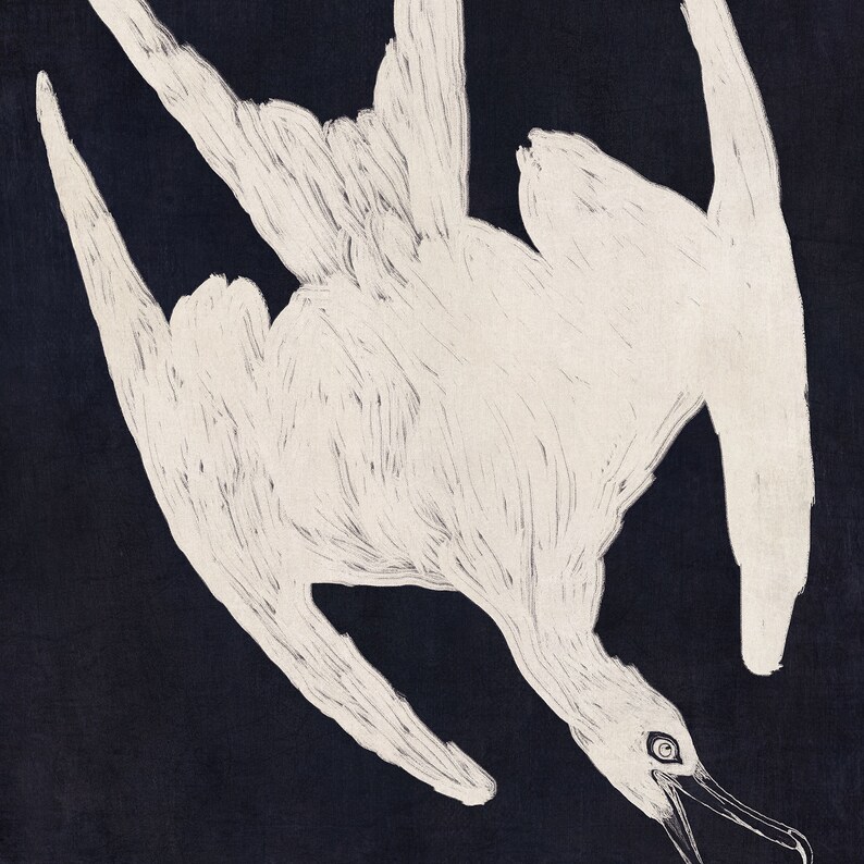 May include: A white bird with its wings spread out, lying upside down on a dark blue background. The bird's head is tilted back, and its beak is open.