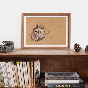 May include: A framed drawing of a tiger's head in profile, rendered in shades of brown and black on a beige background.