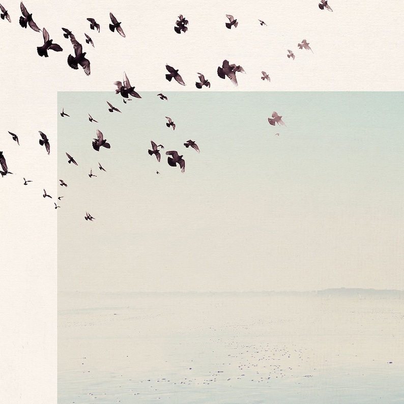 May include: A flock of birds flying in formation against a light blue sky with a white, hazy horizon in the distance.