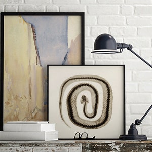 May include: Two framed prints on a white brick wall. The print on the left is a watercolor painting of a yellow and blue abstract design. The print on the right is a black and white image of a snake skeleton.