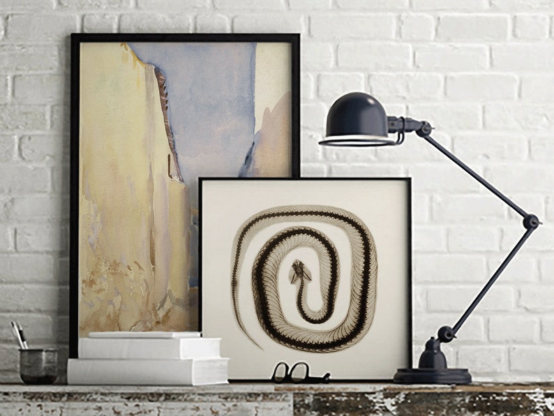May include: Two framed prints on a white brick wall. The print on the left is a watercolor painting of a yellow and blue abstract design. The print on the right is a black and white image of a snake skeleton.