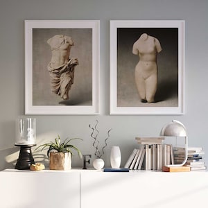 Pu&ograve; includere: Due fotografie in bianco e nero incorniciate di sculture antiche in marmo. Le sculture sono di un torso maschile e un torso femminile. Le cornici sono bianche e le fotografie sono esposte su uno scaffale bianco con una lampada, libri e una pianta.