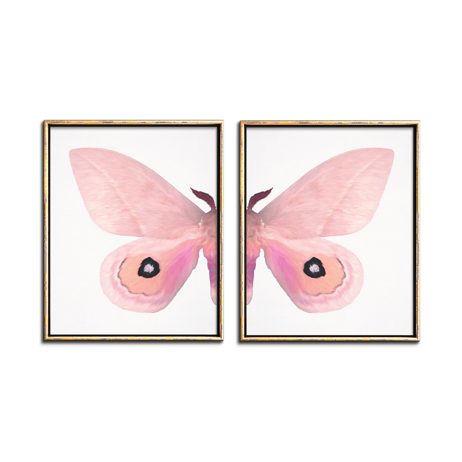 Butterfly Wall Art Set of 2 Downloadable Prints Blush Pink | Etsy