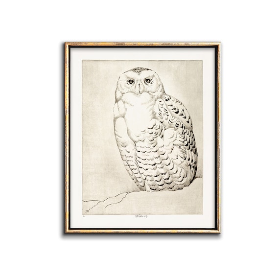 Snowy Owl Print Downloadable Prints, Bird Artwork Neutral Wall Art Printable,  Bird Etching Wildlife Art Printables, Vintage Bird Art