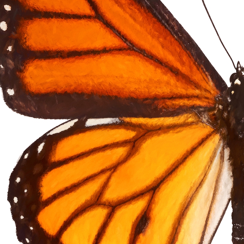 Monarch Butterfly Wall Art Set of 2 Downloadable Prints | Etsy