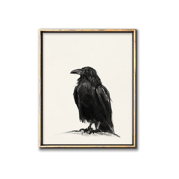 Raven Art Downloadable Prints, Bird Charcoal DrawingPrintable Wall Art, Crow Digital Download, Bird Poster Gallery Wall Artwork