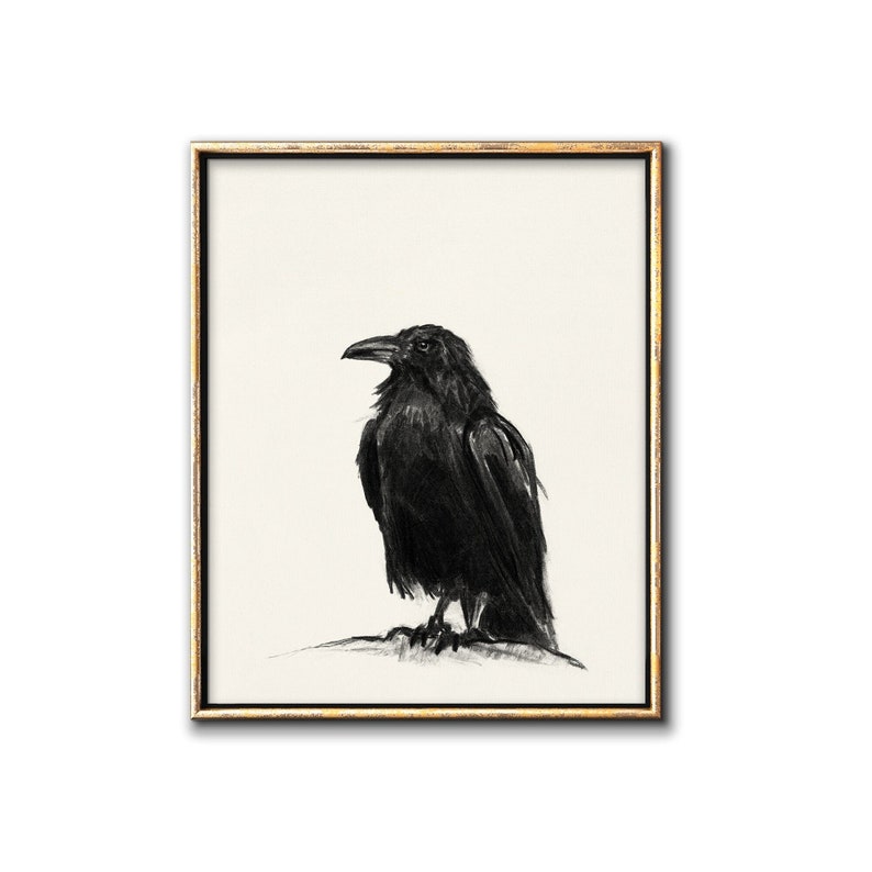 May include: A black and white drawing of a crow perched on a branch. The crow is drawn in a realistic style with detailed feathers.
