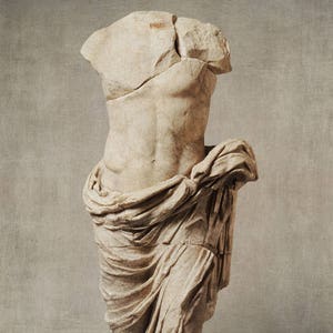 Pu&ograve; includere: Una statua di marmo bianco di un torso di una persona avvolta in un panno. La statua &egrave; priva di testa e braccia. La statua &egrave; usurata e presenta alcuni danni.