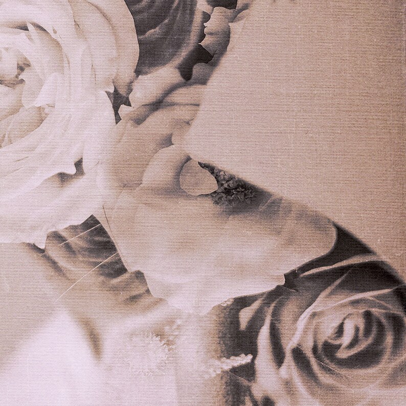 May include: A close-up of a bouquet of roses. The roses are in shades of white and brown, and the petals are soft and delicate. The roses are arranged in a cluster, and the stems are not visible.
