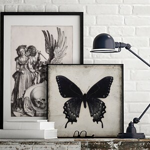 May include: Two black and white framed prints on a white brick wall. The print on the left features a black and white engraving of a couple standing next to a skull. The print on the right features a black and white image of a butterfly.