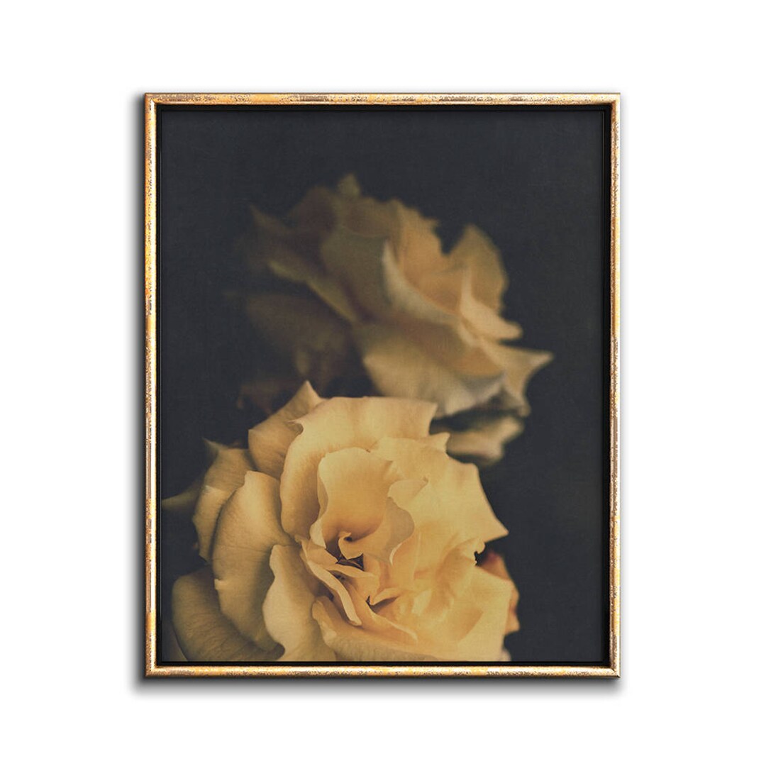 Yellow Rose Wall Art, Moody Floral Print, Flower Art, Downloadable Art ...