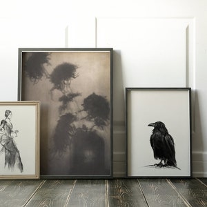 May include: Three framed black and white drawings on a wooden floor. The drawing on the left is of a woman in a long dress holding a glass. The middle drawing is of a misty forest scene. The drawing on the right is of a black raven.