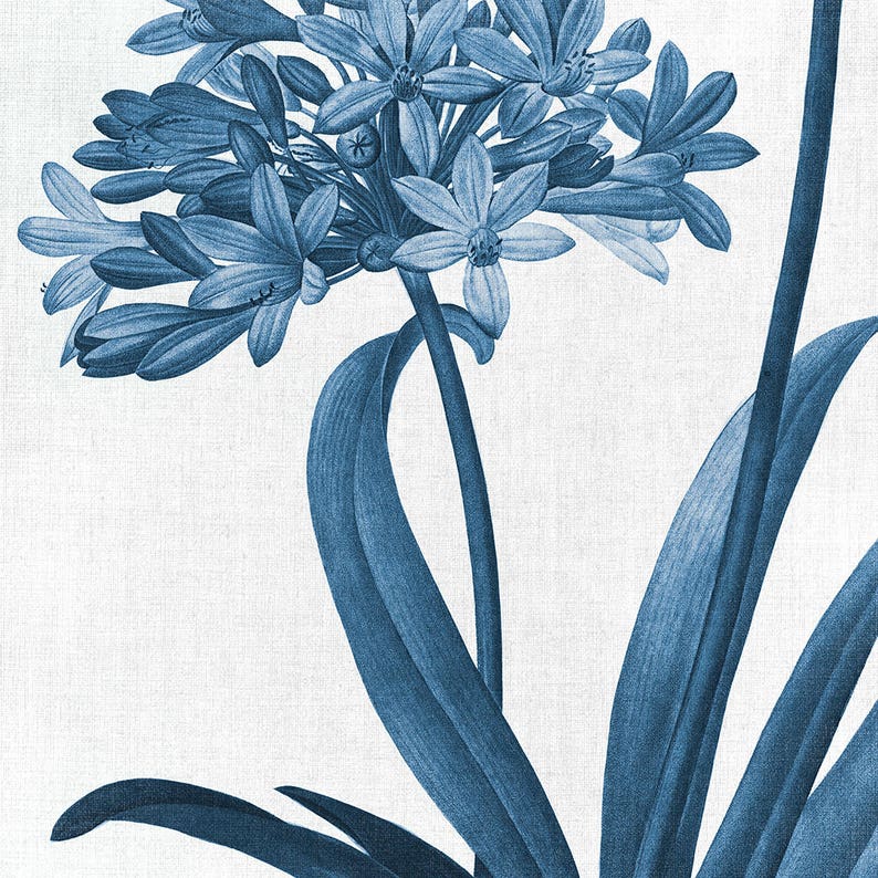 Blue Botanical print Set of 2 Downloadable Prints, Blue and White Above the Bed Decor Diptych Bedroom Floral Artwork Botanical Printable image 4