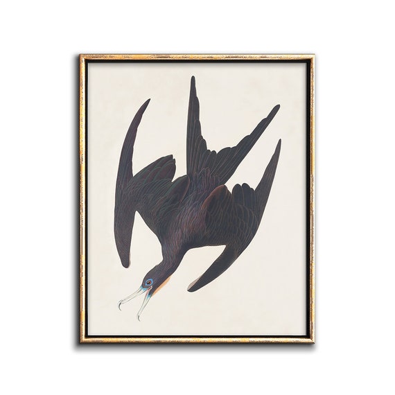 Flying Bird Art Downloadable Print, Bird Poster Digital Download Art, Bird Printable, Vintage Bird Print Downloadable Decor, Bird Art Print