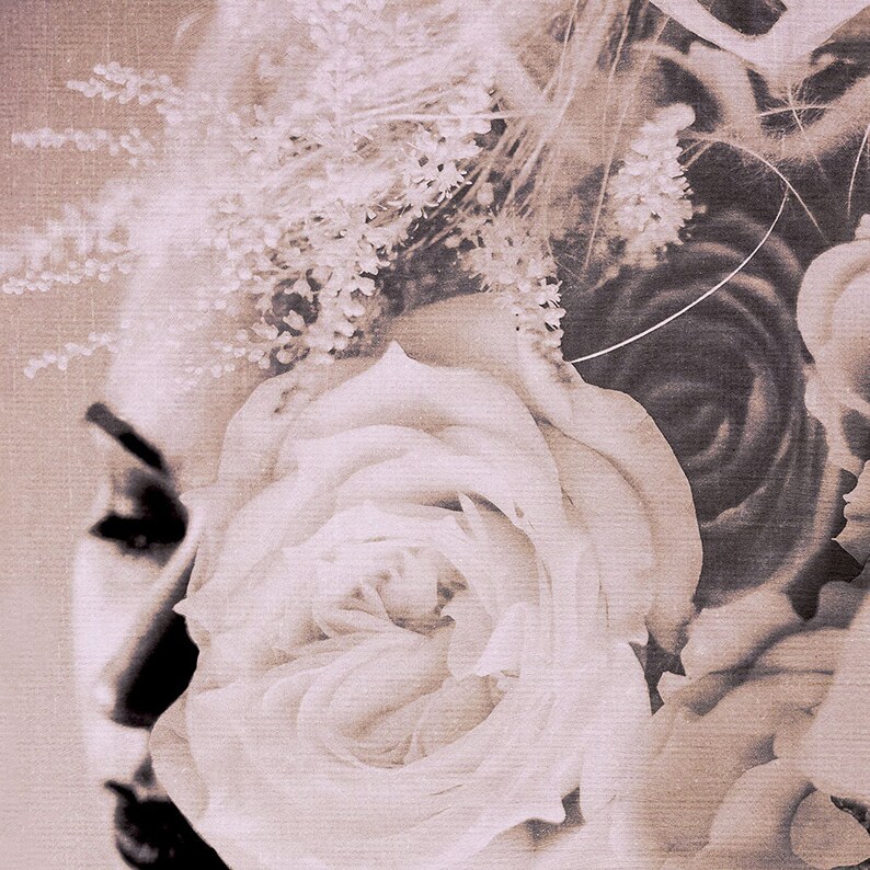 May include: A close-up of a white rose with a soft, textured background. The rose is in focus, while the background is blurred. The image has a vintage, faded look.