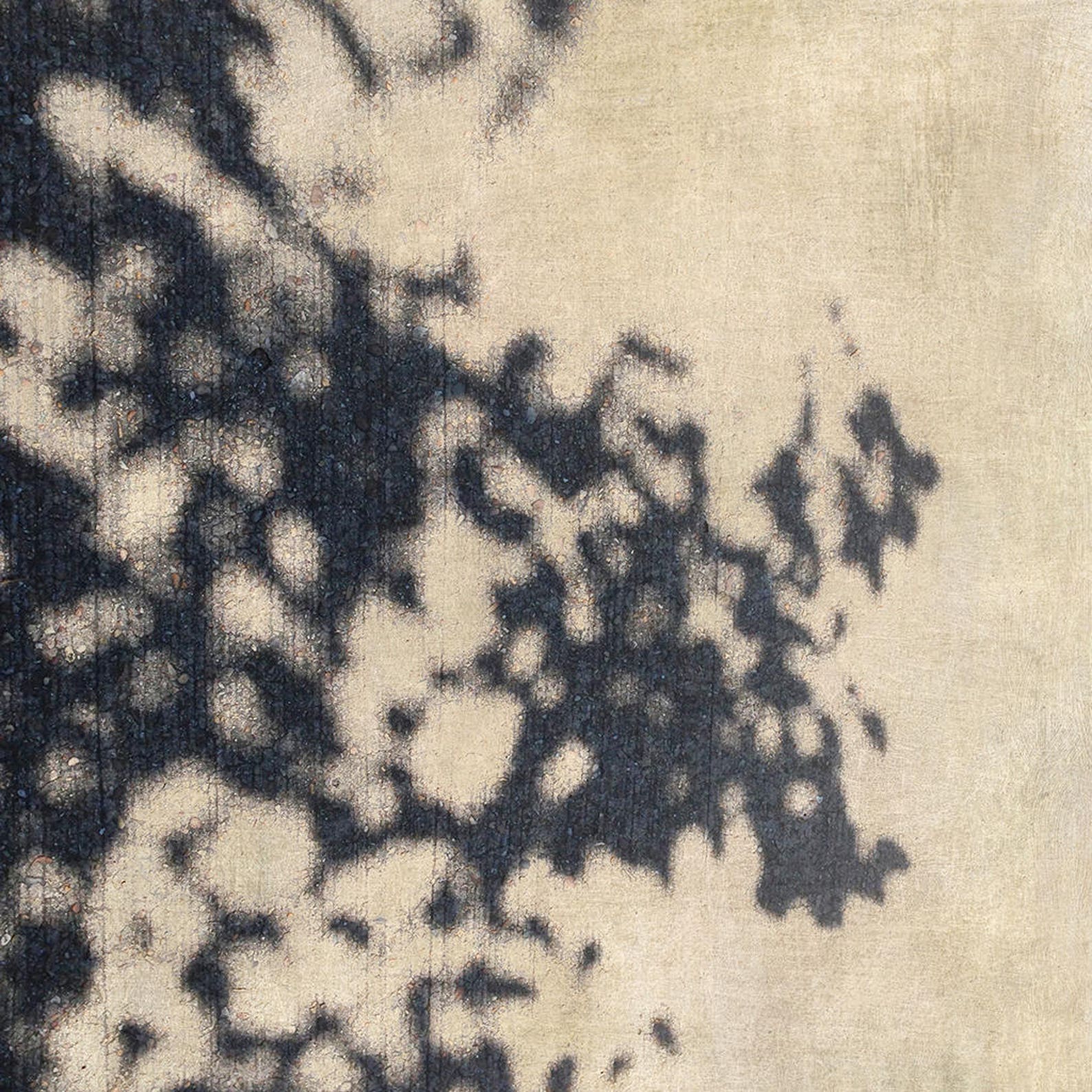 Neutral Abstract Art, Shadow Art, Neutral Wall Art, Modern Wall Art ...