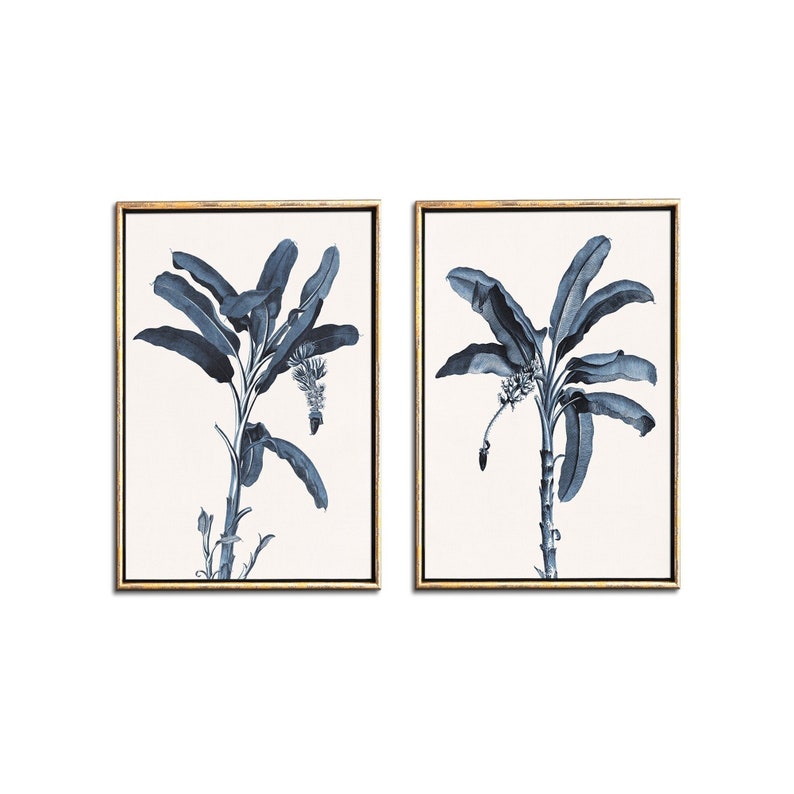 May include: A set of two framed prints featuring blue botanical illustrations of banana plants on a white background. The frames are gold.