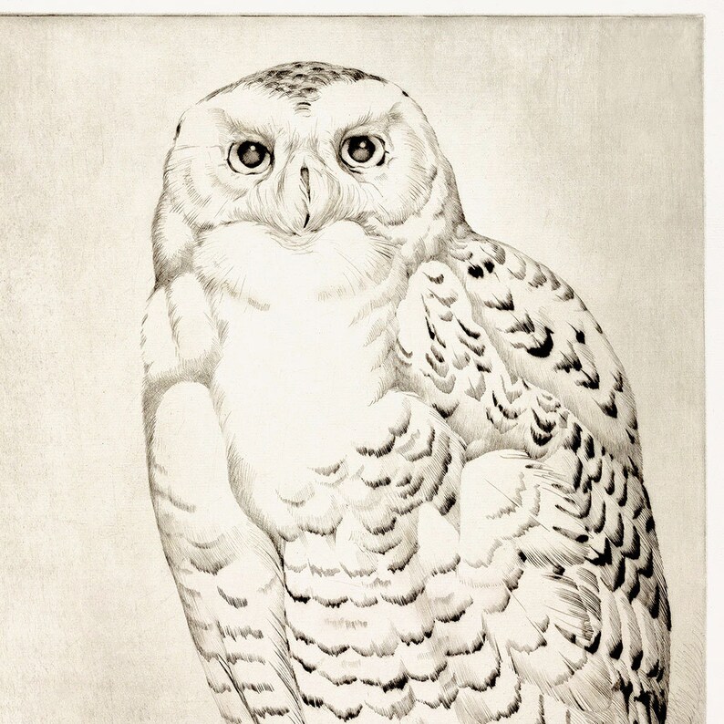 Snowy Owl Print Downloadable Prints, Bird Artwork Neutral Wall Art ...