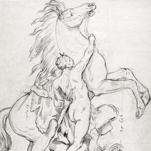 May include: A black and white pencil drawing of a man struggling to control a rearing horse. The man is holding onto the horse's reins and the horse's front legs are raised in the air.