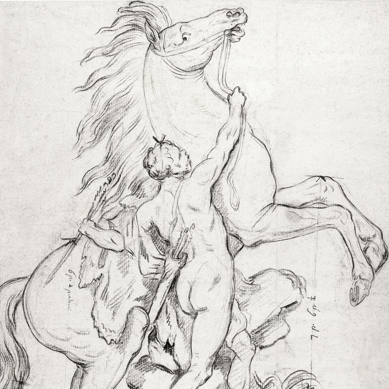 May include: A black and white pencil drawing of a man struggling to control a rearing horse. The man is holding onto the horse's reins and the horse's front legs are raised in the air.