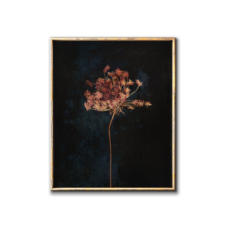 Moody floral printable wall art, Dark botanical downloadable prints image 1