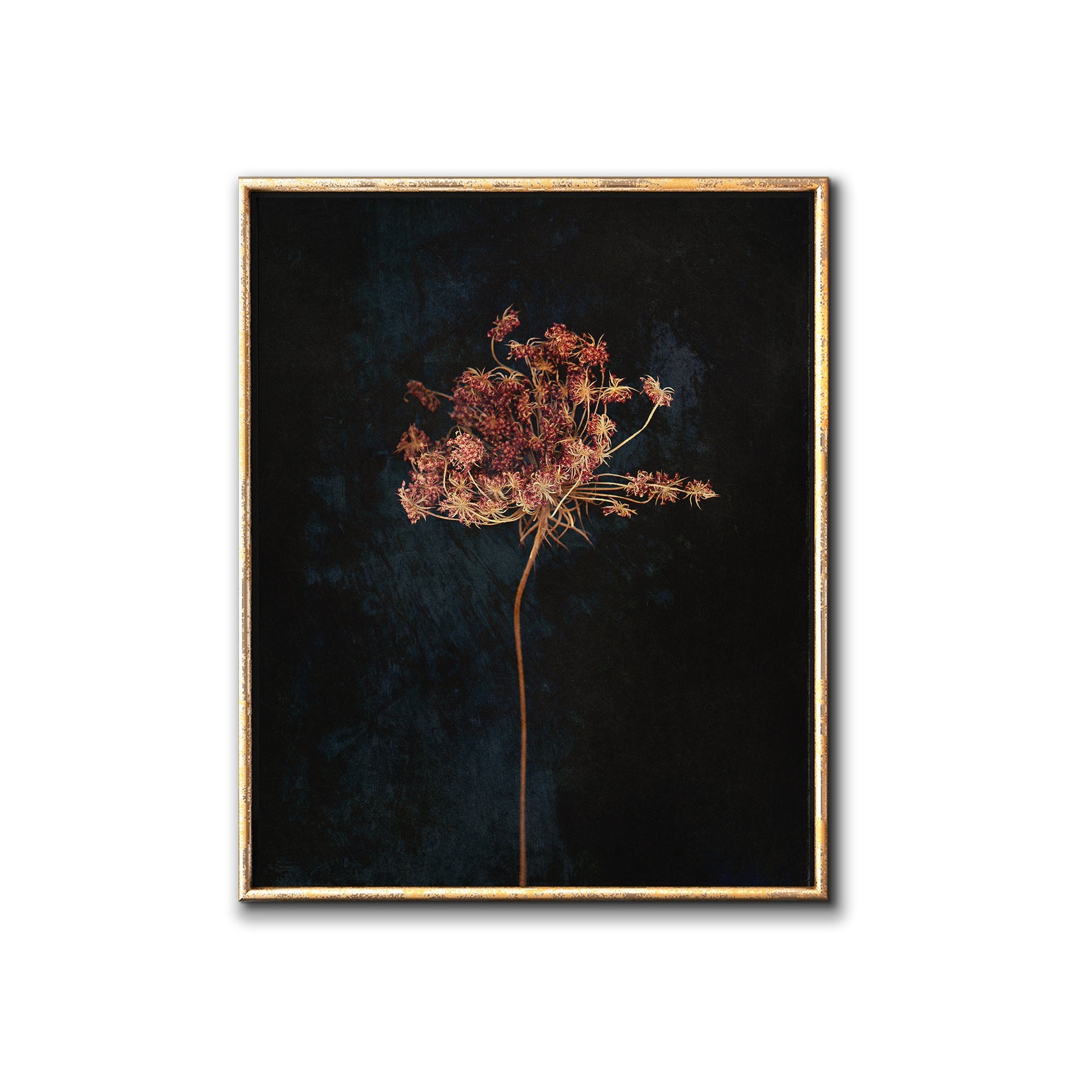 Moody floral printable wall art, Dark botanical downloadable prints