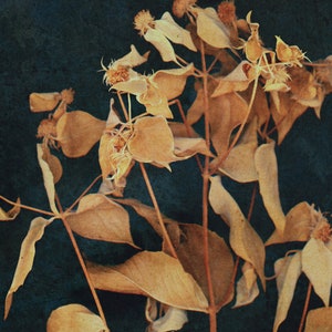 Dark Botanical Digital Print, Moody Floral Printable Art image 5