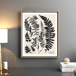 May include: A framed black and white botanical print of ferns on a cream background. The print is in a gold frame and is hanging on a grey wall. The print is titled "Specimens of Common Ferns".