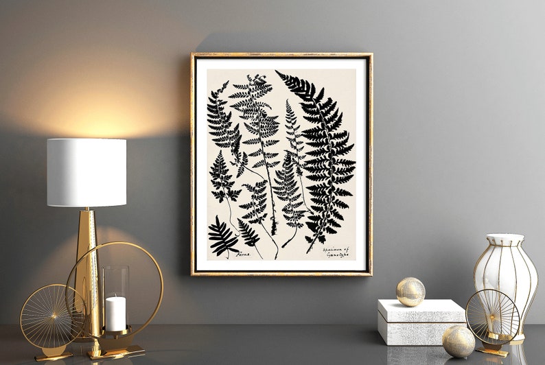 May include: A framed black and white botanical print of ferns on a cream background. The print is in a gold frame and is hanging on a grey wall. The print is titled "Specimens of Common Ferns".
