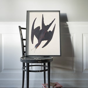 May include: A black and white framed print of a bird with its wings spread out. The bird is flying upside down with its head facing the left side of the image. The print is hanging on a white wall above a black chair.