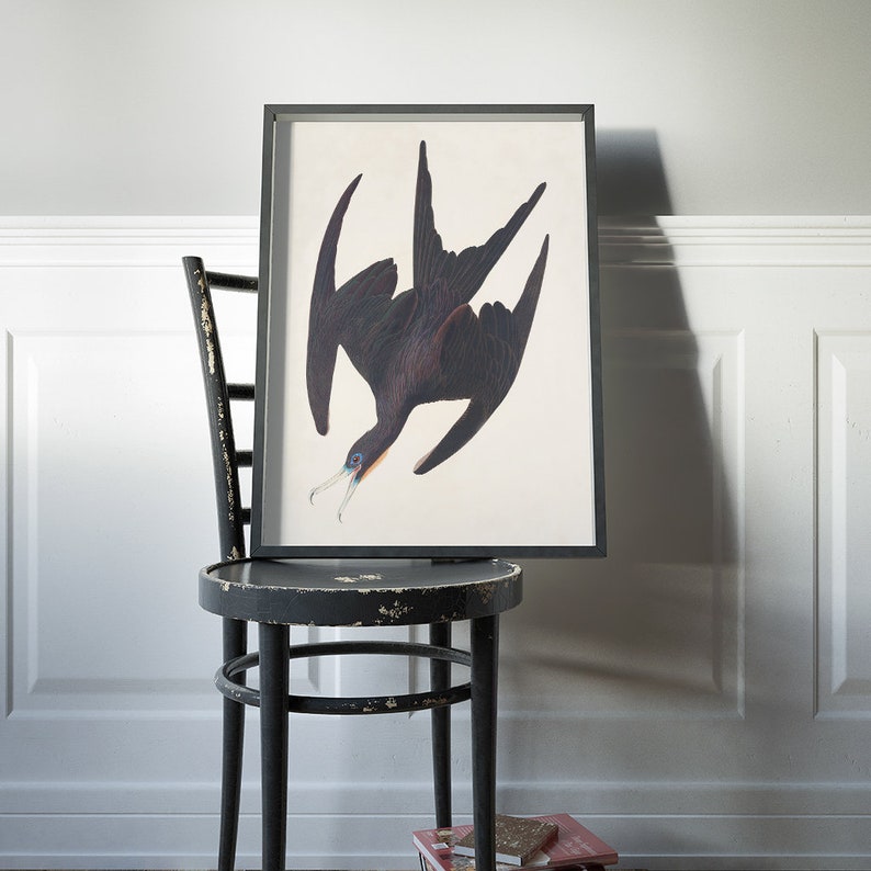 May include: A black and white framed print of a bird with its wings spread out. The bird is flying upside down with its head facing the left side of the image. The print is hanging on a white wall above a black chair.