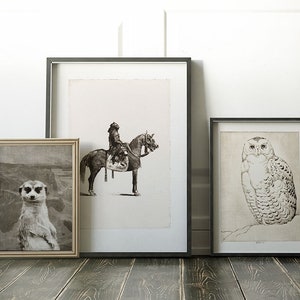 Snowy Owl Print Downloadable Prints, Bird Artwork Neutral Wall Art Printable, Bird Etching Wildlife Art Printables, Vintage Bird Art image 2