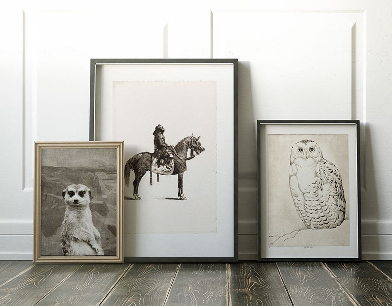 Snowy Owl Print Downloadable Prints, Bird Artwork Neutral Wall Art Printable, Bird Etching Wildlife Art Printables, Vintage Bird Art image 2