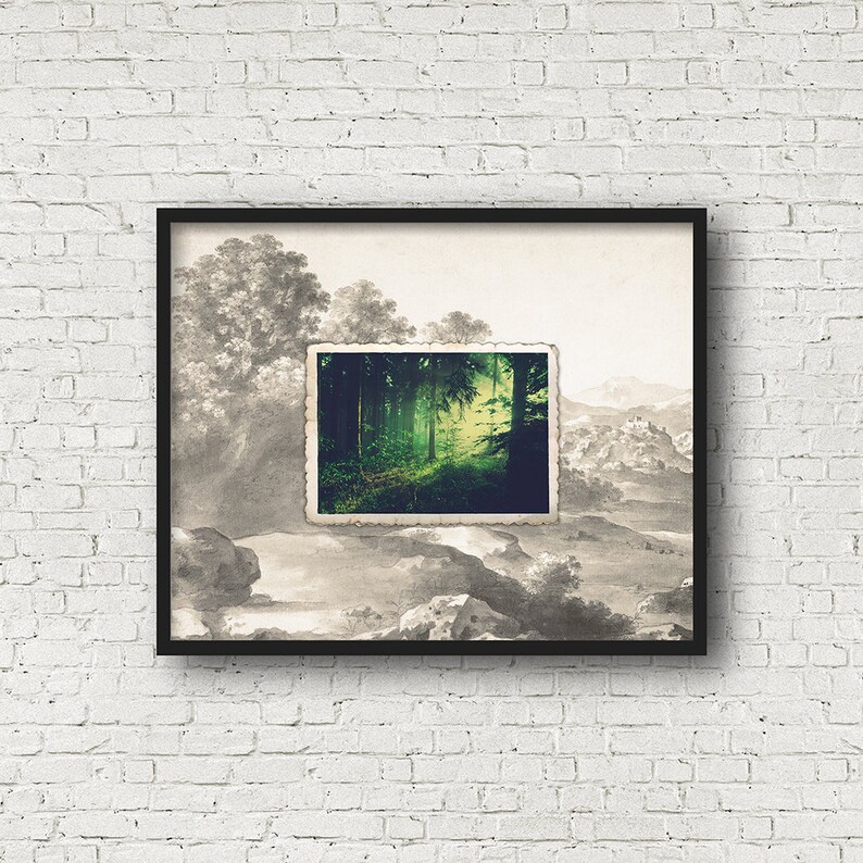 Puede incluir: Una pintura de paisaje en blanco y negro enmarcada con una fotograf&iacute;a vintage de un bosque verde dentro del marco.