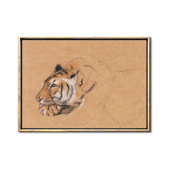 Tiger Art Wildlife Drawing Digital Download Art - Big Cat Wild Animal Art Printable Artwork - Charcoal Drawing Download
