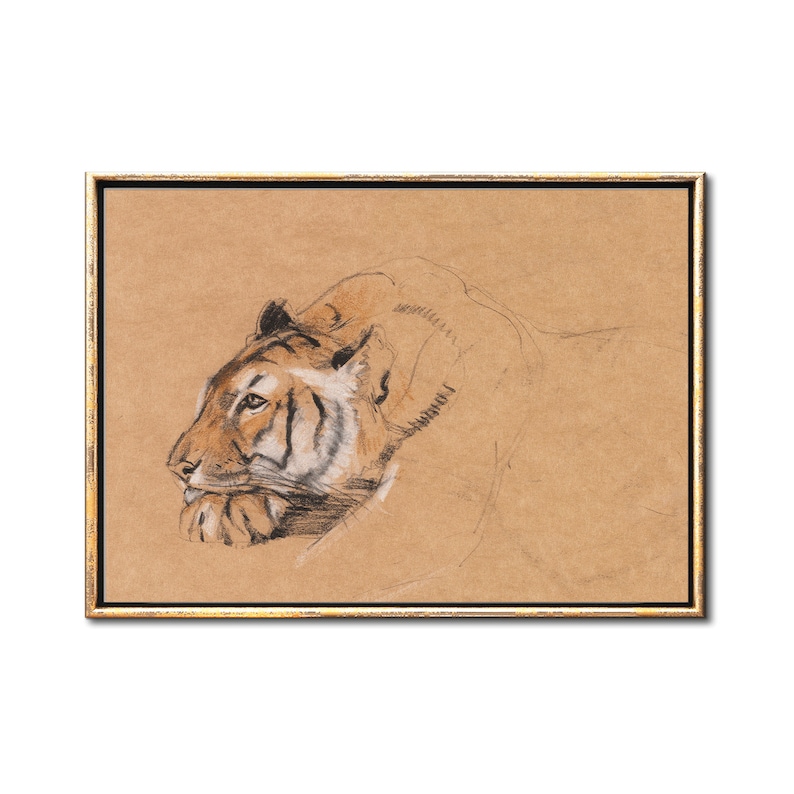 May include: A framed pencil drawing of a tiger's head in profile, rendered in shades of brown, black, and white on a tan background.