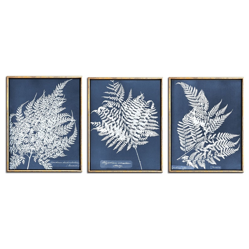 Blue Fern Prints Able Art Navy Wall Botanical Print Set 3 Piece Over The Bed Printable Artwork