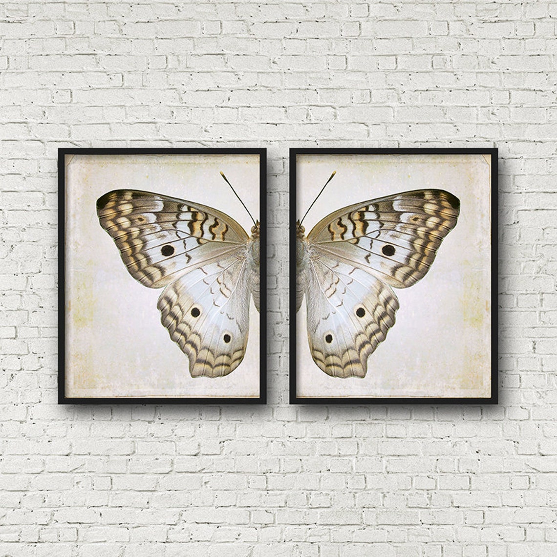 Split Butterfly Wall Art Set of 2 Prints Downloadable Art Etsy