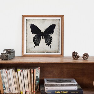 Black Butterfly Wall Art Downloadable Prints, Gothic Home Decor Digital Download Art image 5