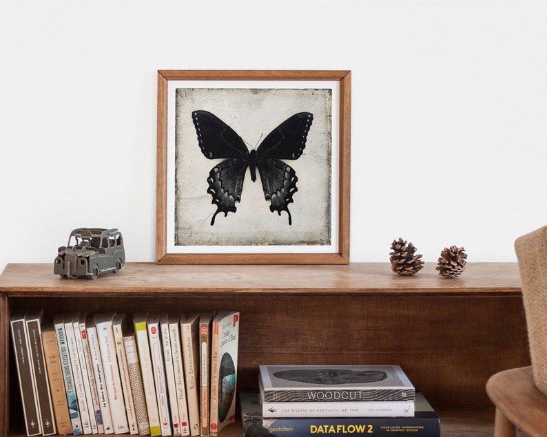 Black Butterfly Wall Art Downloadable Prints, Gothic Home Decor Digital Download Art image 5